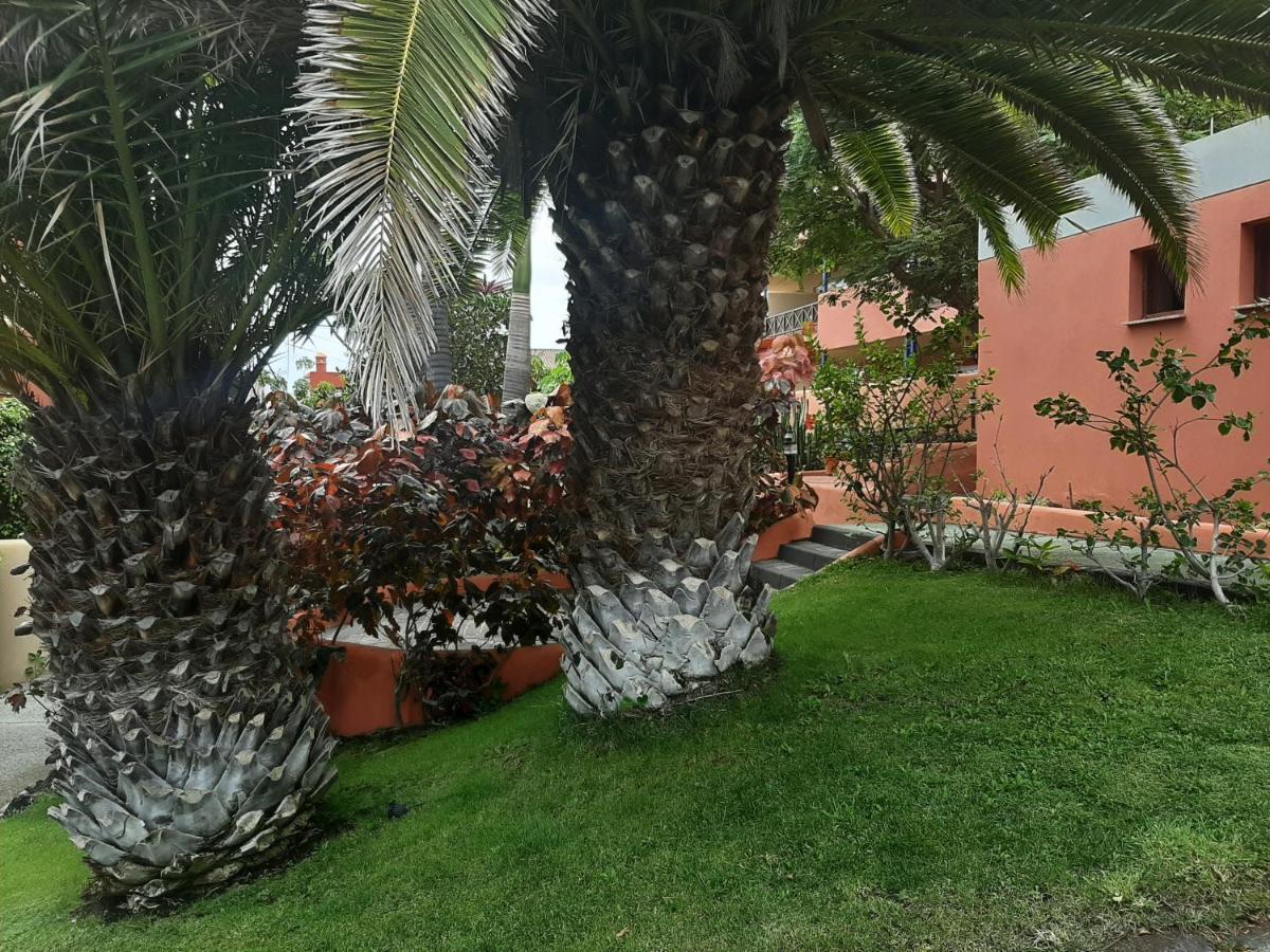 Aparthotel El Cerrito Playa Cancajos.- BreNa Baja  エクステリア 写真