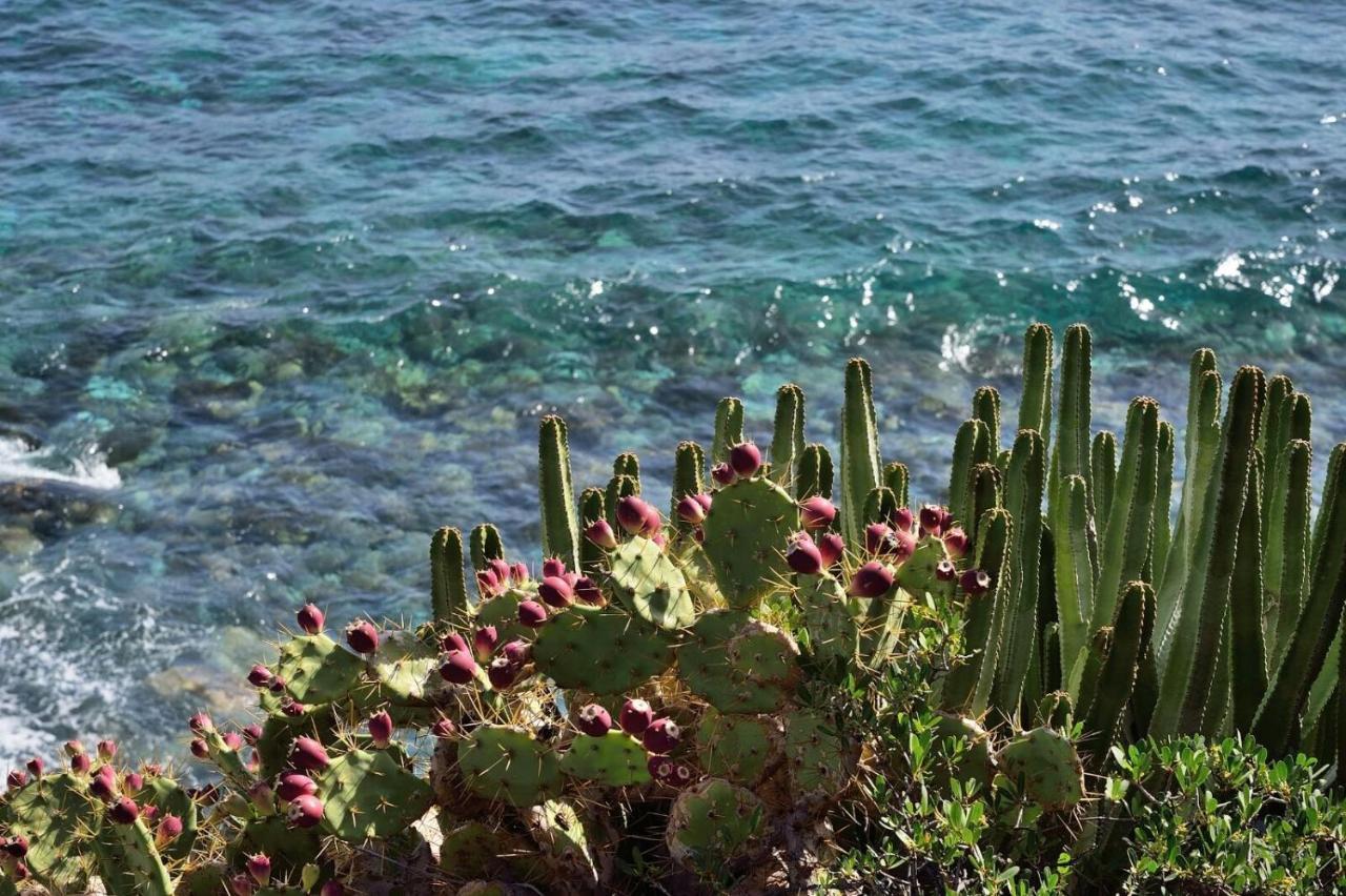 Aparthotel El Cerrito Playa Cancajos.- BreNa Baja  エクステリア 写真